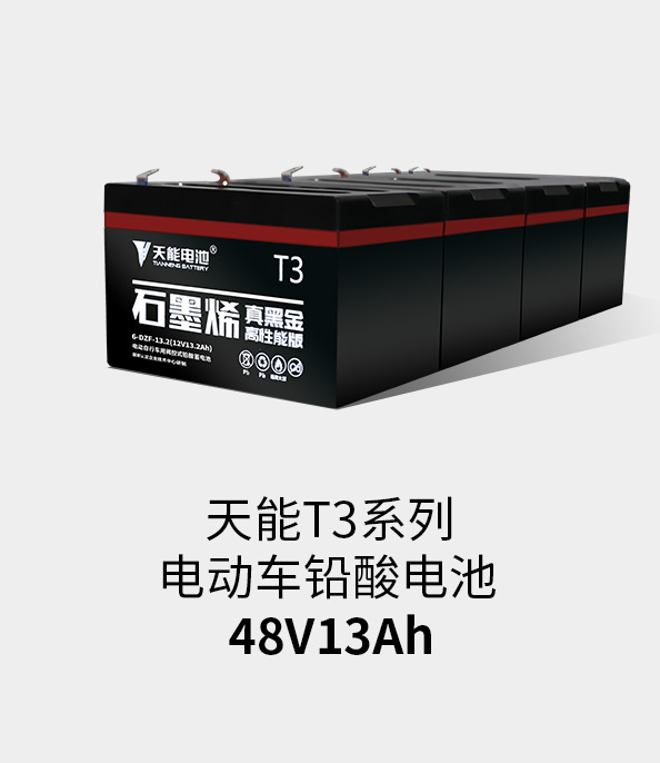 新宝GGT3系列48v13ah