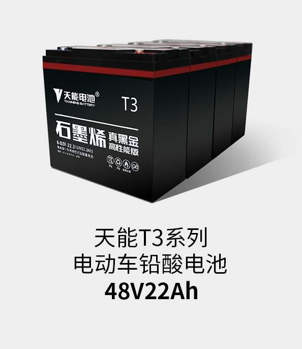 新宝GGT3系列48v22ah